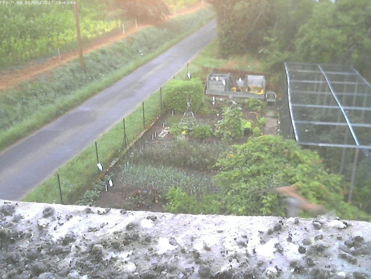 Frame_2021-08-05_06-43-46